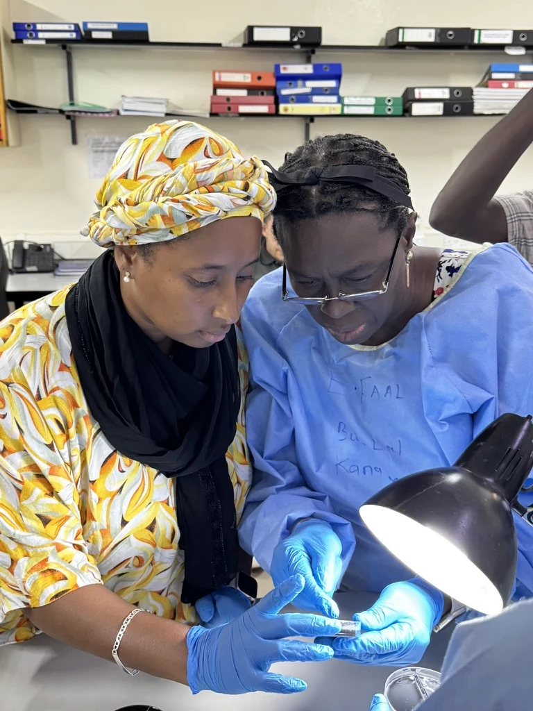 Stella and Kanny examining a Campylobacter culture during laboratory work