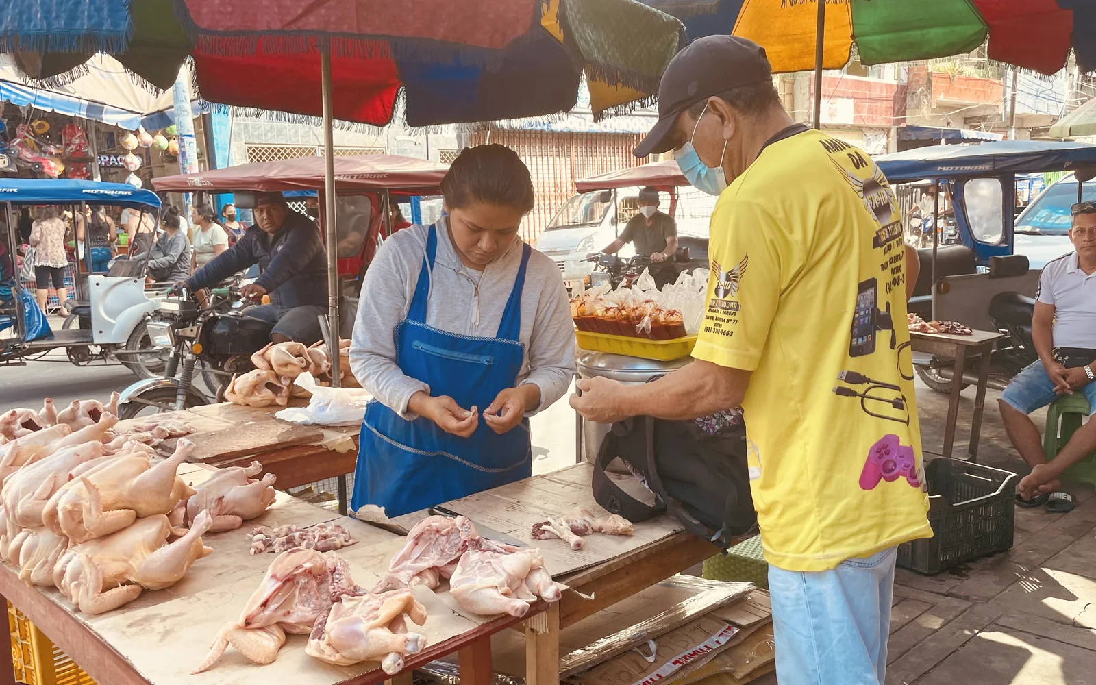 Poultry and food-system fieldwork in an urban market